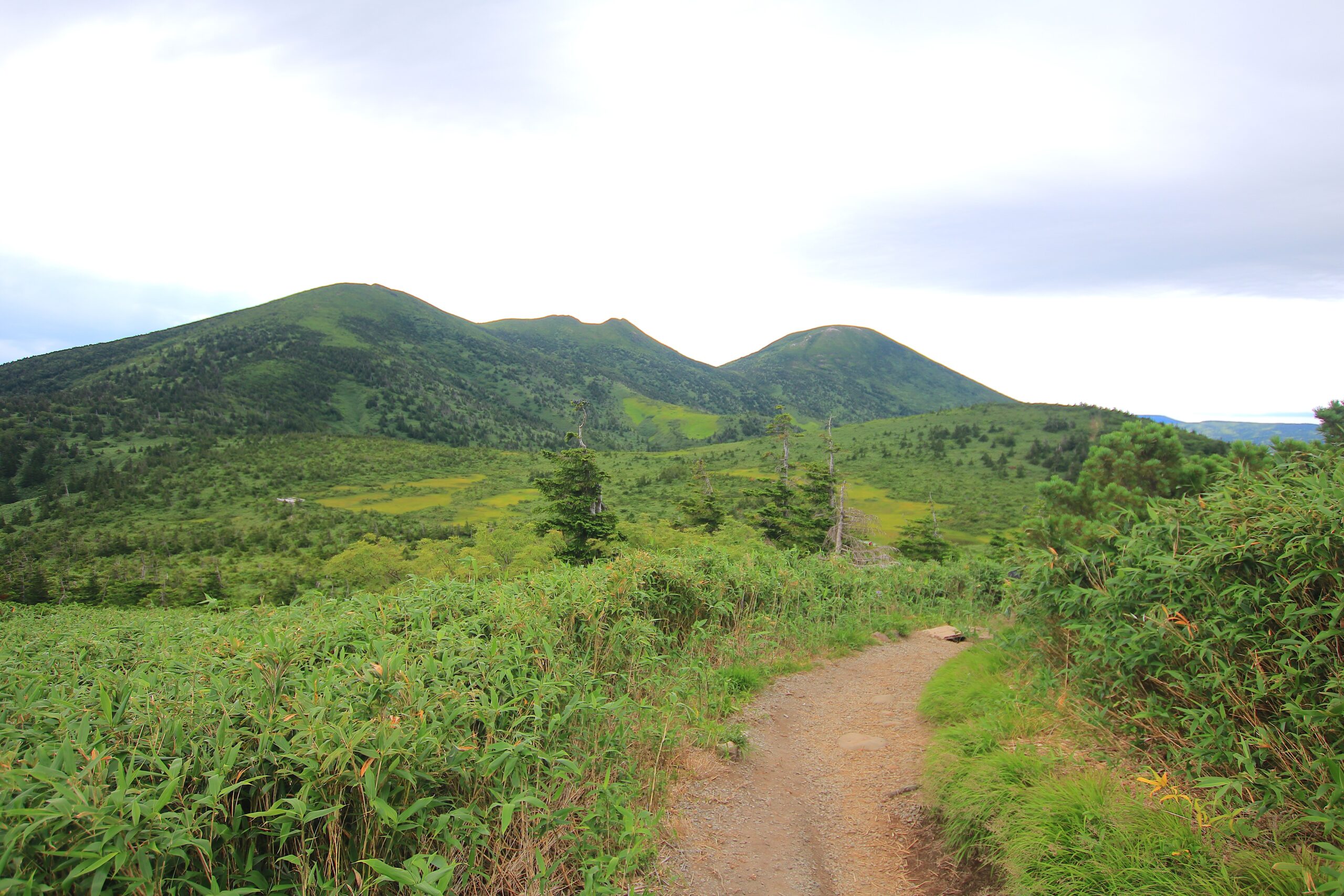 八甲田山登山ガイド　ロープウェーで楽しむ大岳の王道ルート | 山と高原地図Web