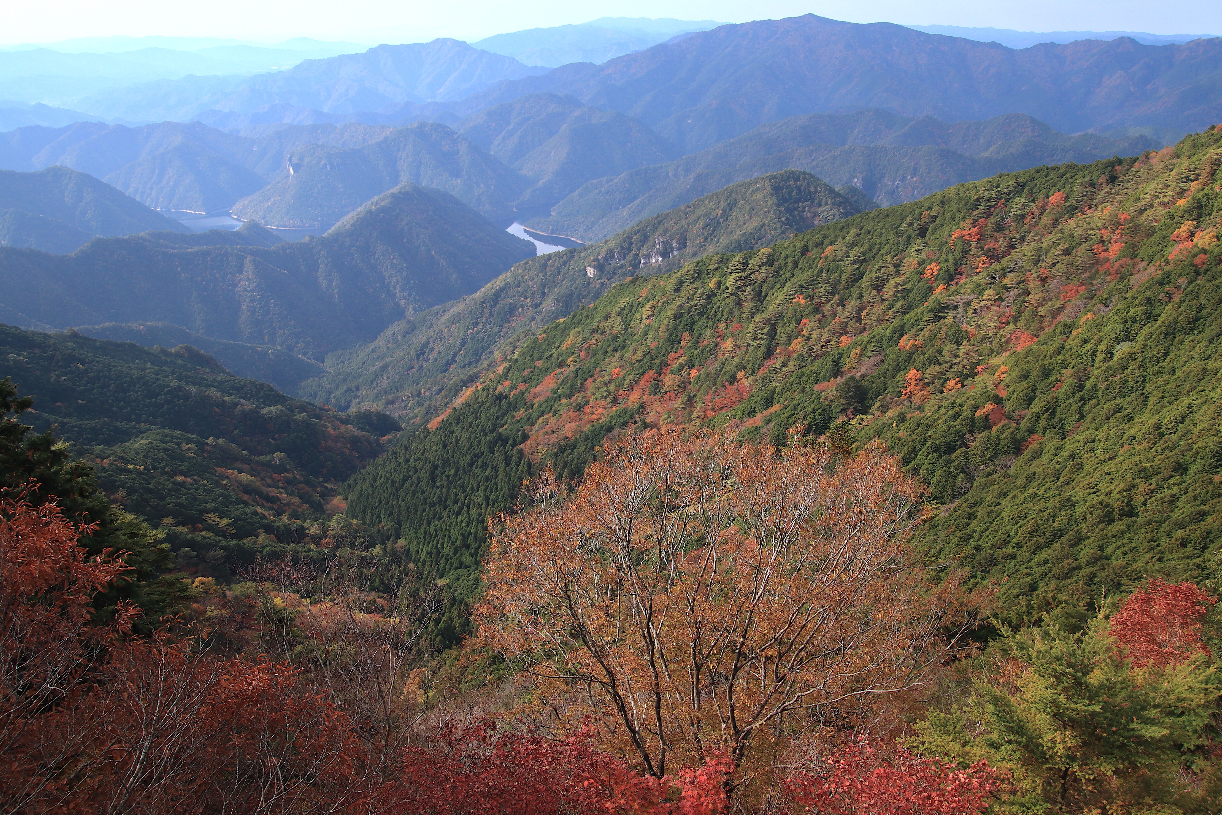 三ツ瀬明神山登山ガイド 乳岩峡コースで楽しむ奥三河の岩場と絶景 | 山と高原地図Web