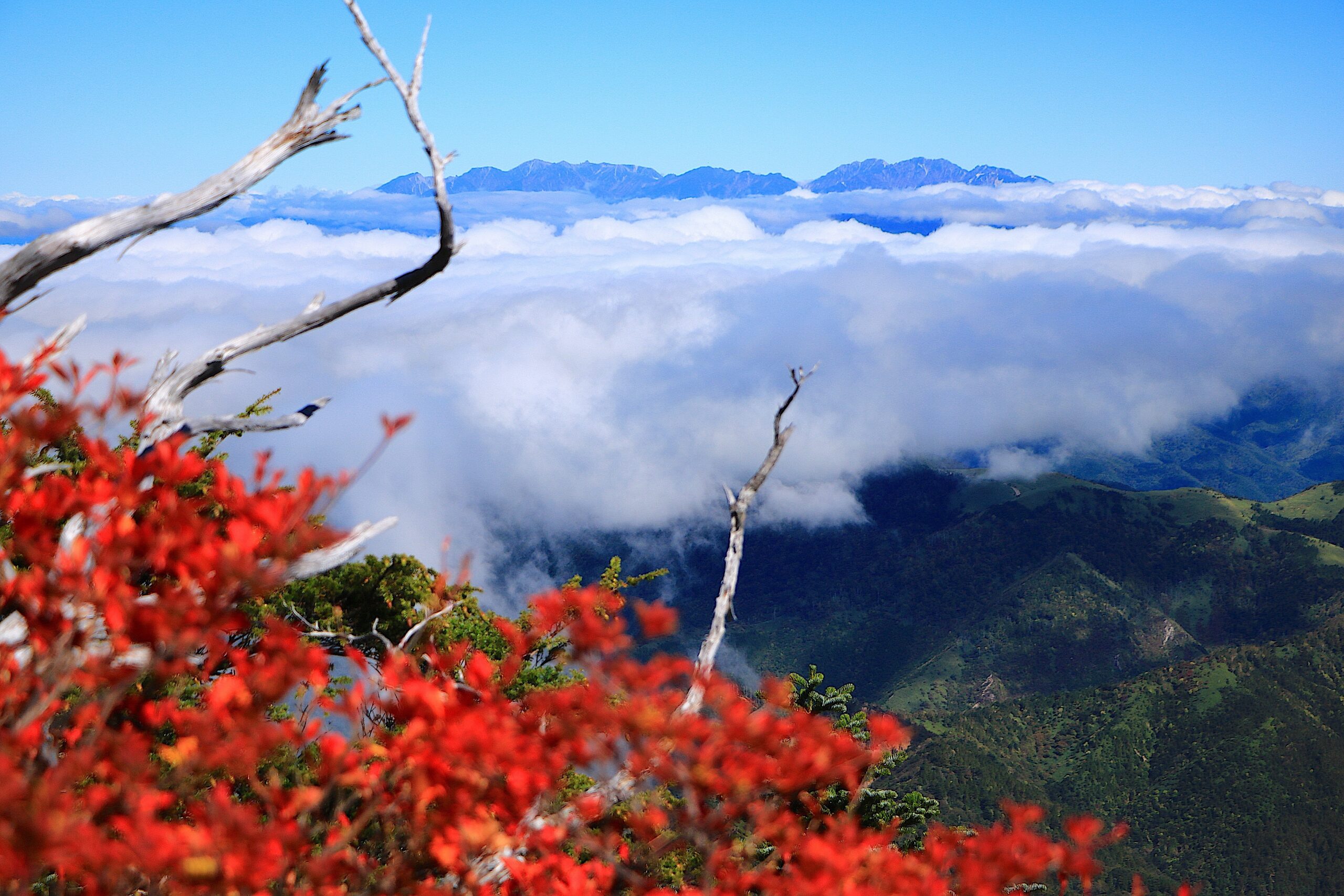 恵那山・神坂峠ルートで楽しむ登山　南アルプスと中央アルプスを一望する絶景コース | 山と高原地図Web