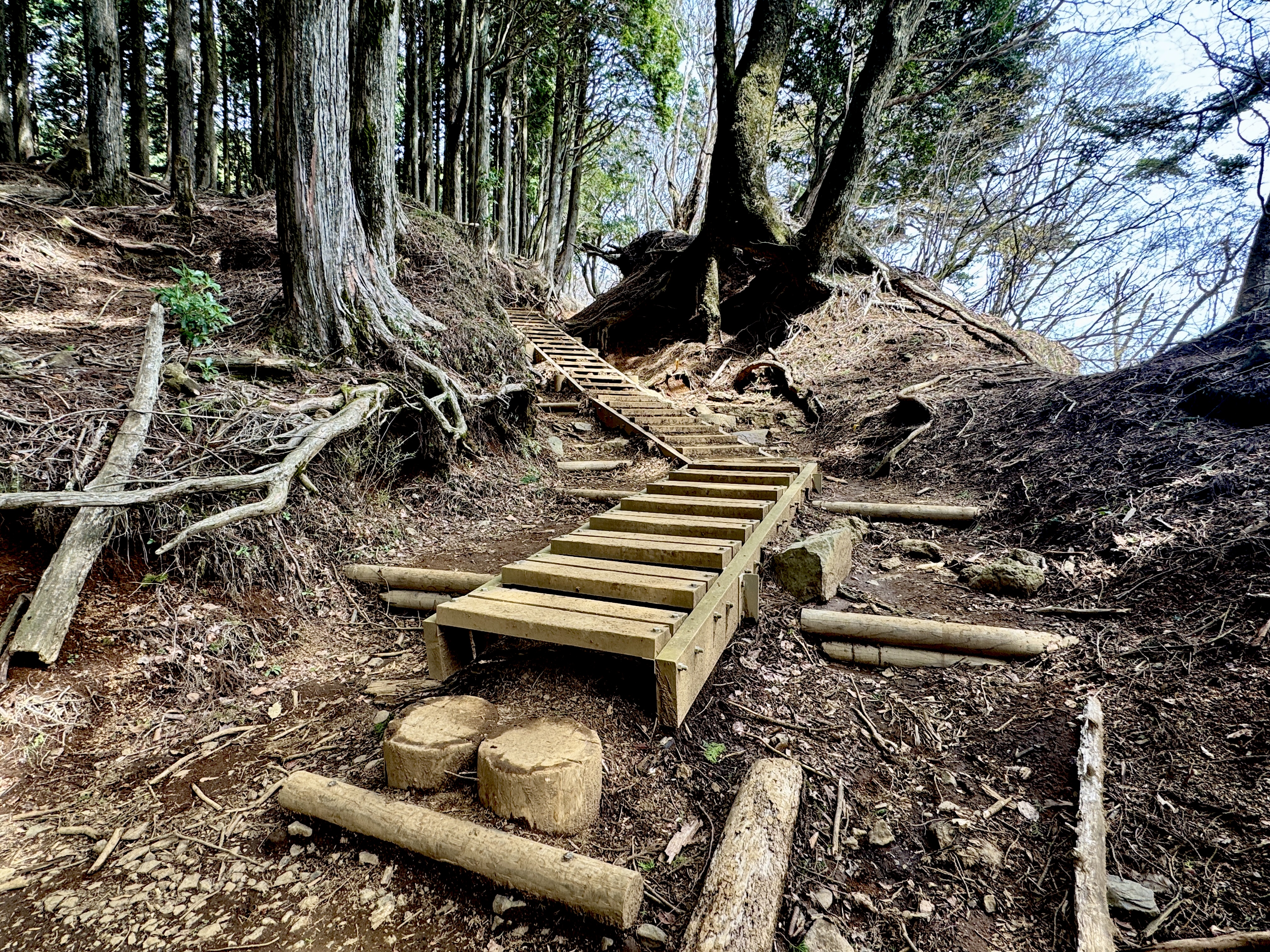 ひたすらに高度を上げていく