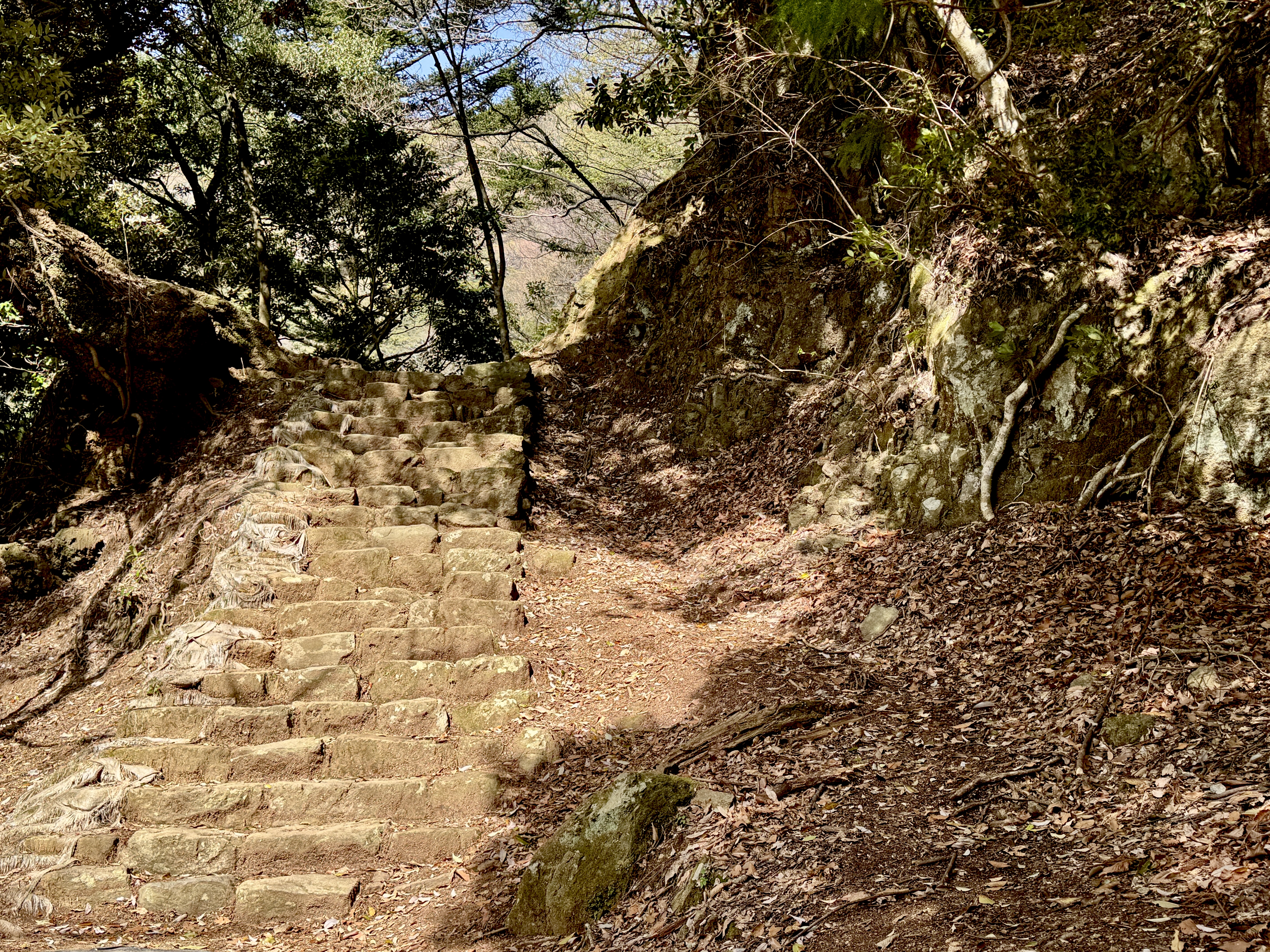 これでもかというほどの階段！！！