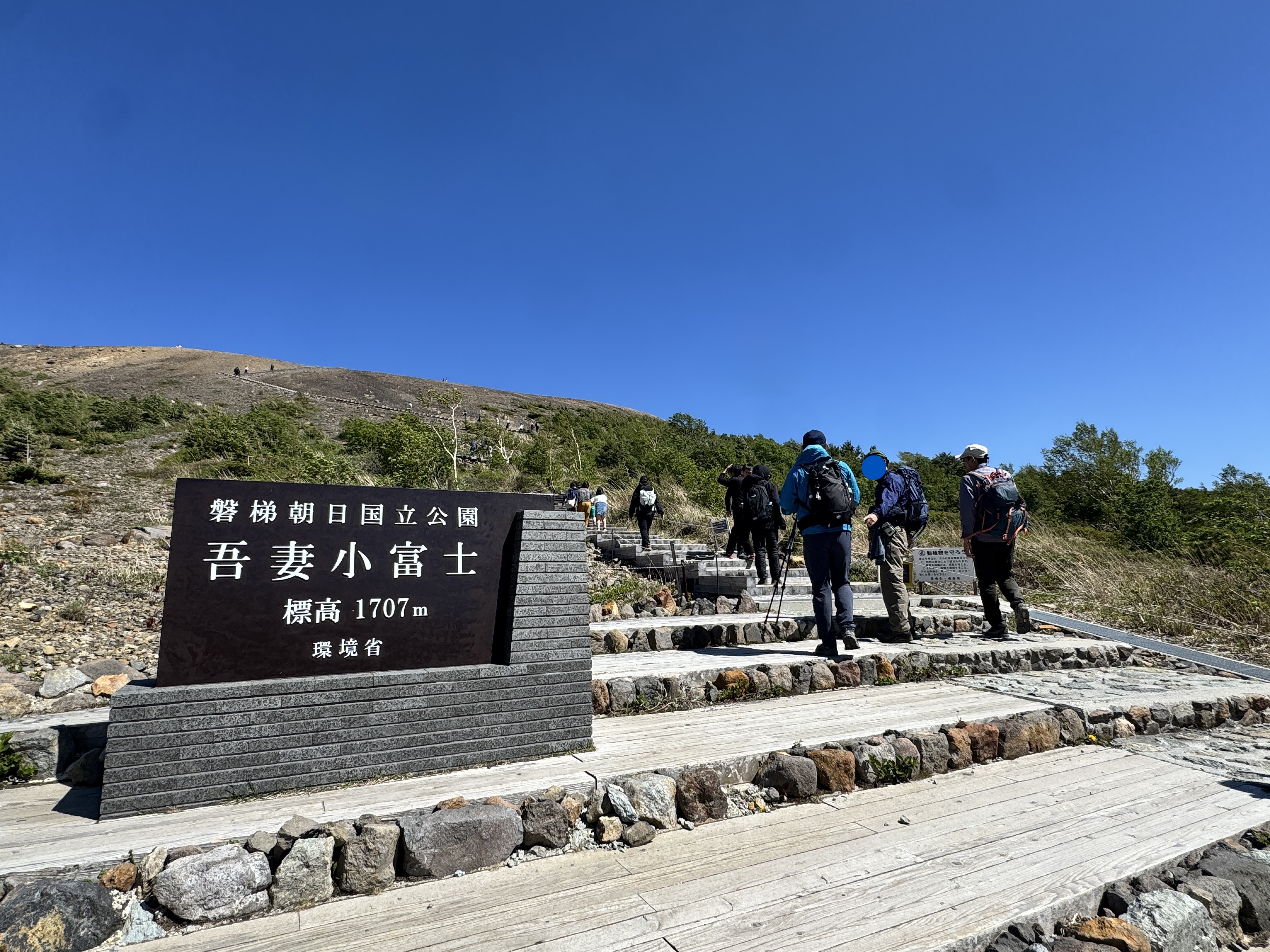 山頂までは丸太の階段を上る。危険個所はない
